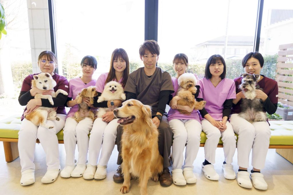 橋爪動物病院の温かい診療